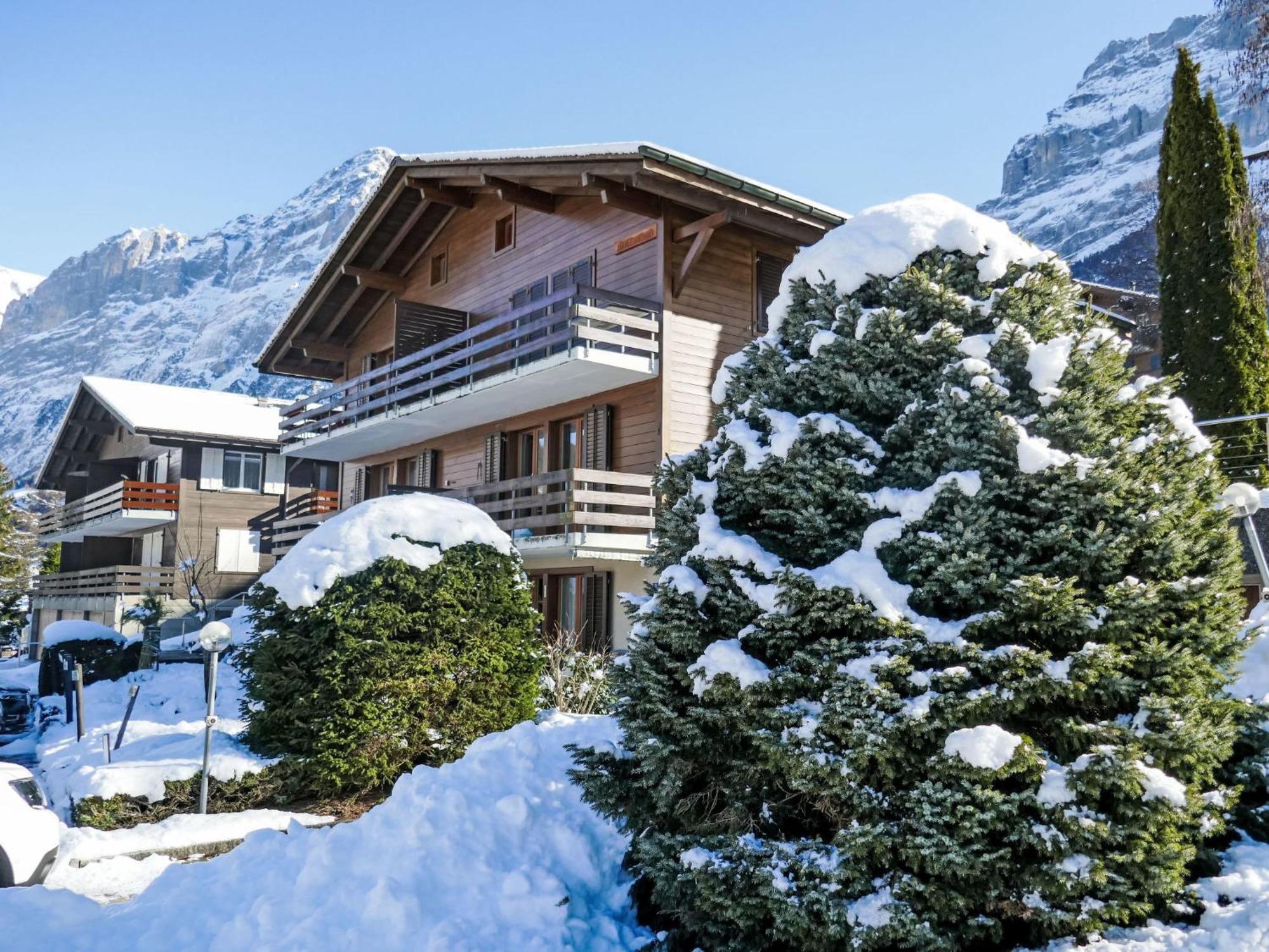 Nordwestwand By Interhome Apartment Grindelwald