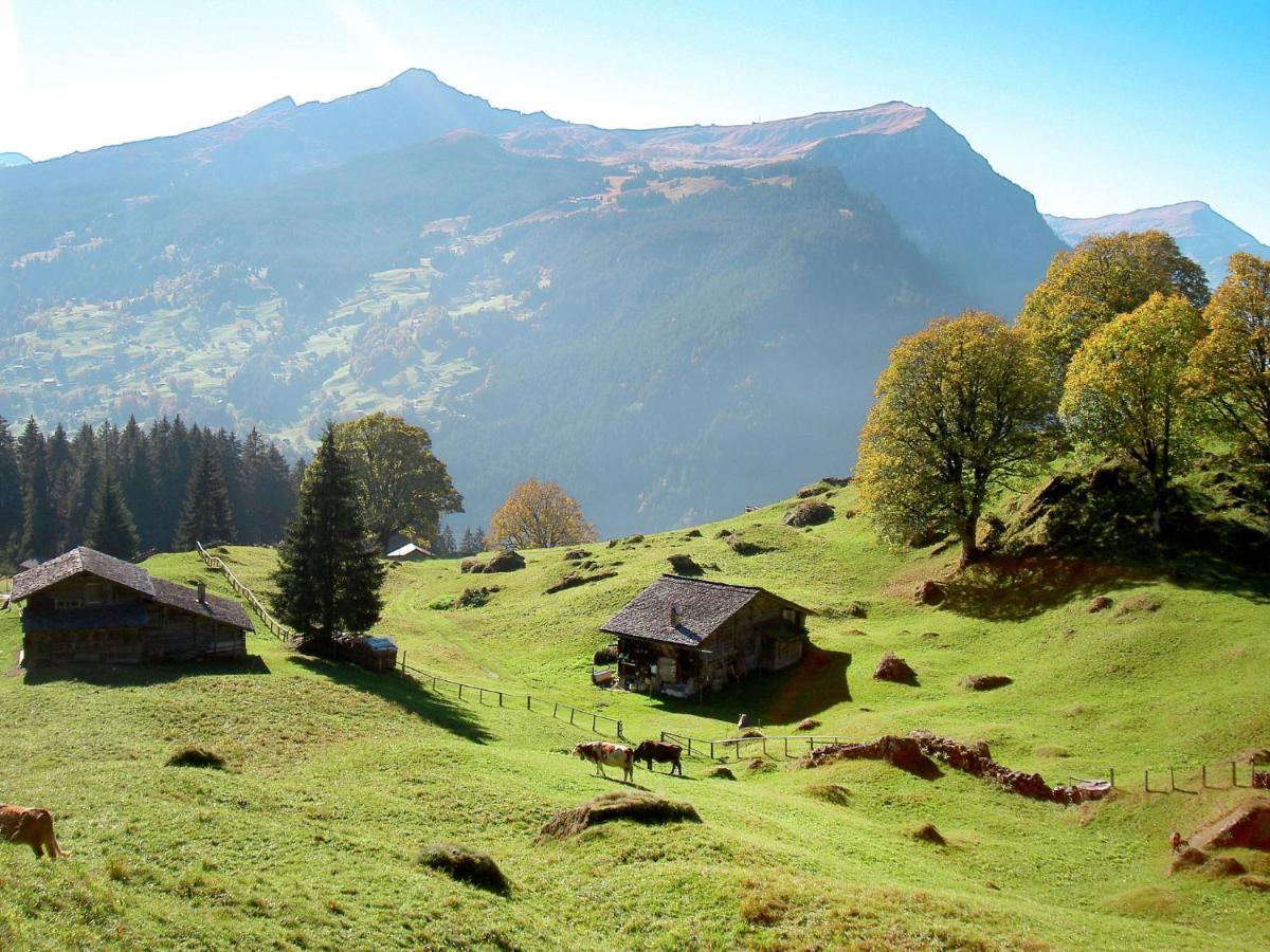 Nordwestwand By Interhome * Grindelwald